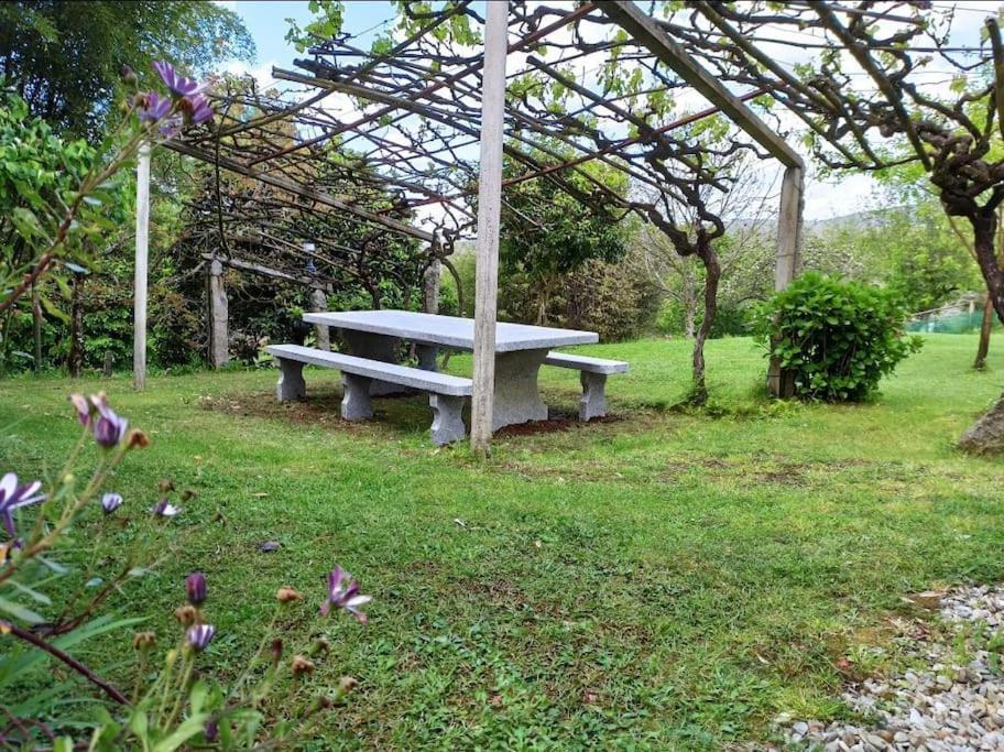 A Vina De Lina. Turismo Rural Con Piscina Y Finca. Ποντεβέντρα Εξωτερικό φωτογραφία