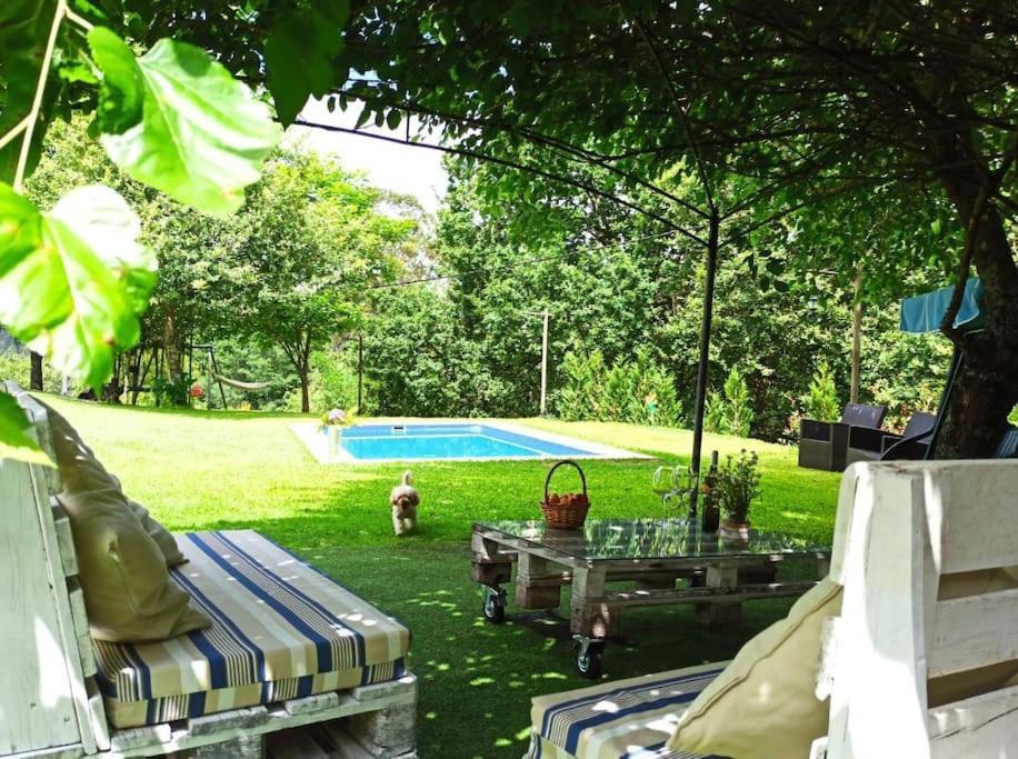 A Vina De Lina. Turismo Rural Con Piscina Y Finca. Ποντεβέντρα Εξωτερικό φωτογραφία
